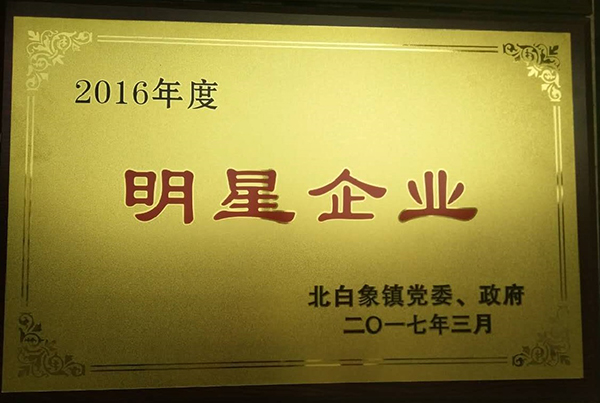 2016年度明星企業.jpg