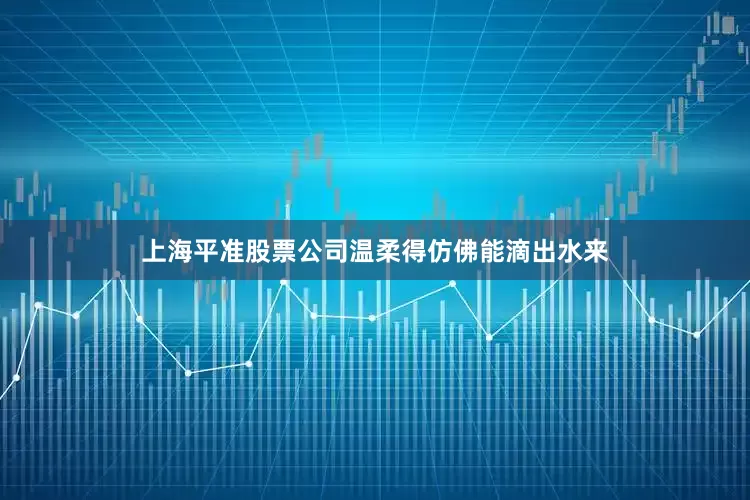 上海平准股票公司温柔得仿佛能滴出水来