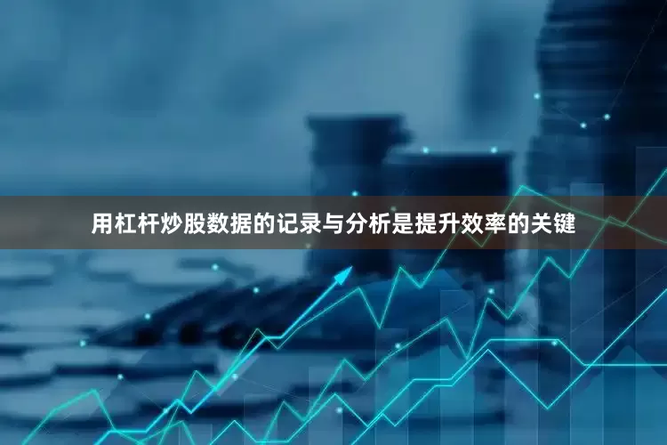 用杠杆炒股数据的记录与分析是提升效率的关键