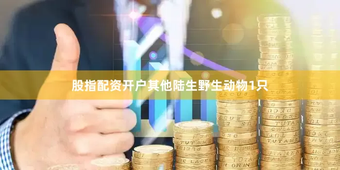 股指配资开户其他陆生野生动物1只