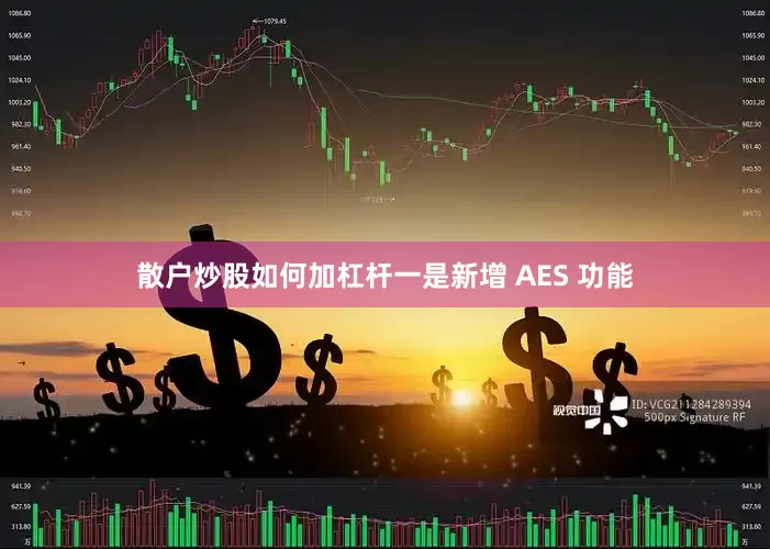 散户炒股如何加杠杆一是新增 AES 功能