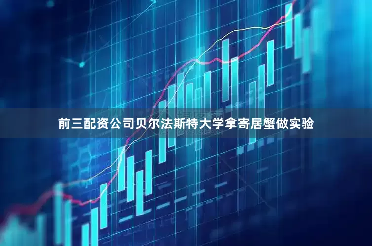 前三配资公司贝尔法斯特大学拿寄居蟹做实验